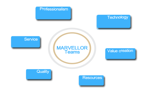 Professional translation services in MVL